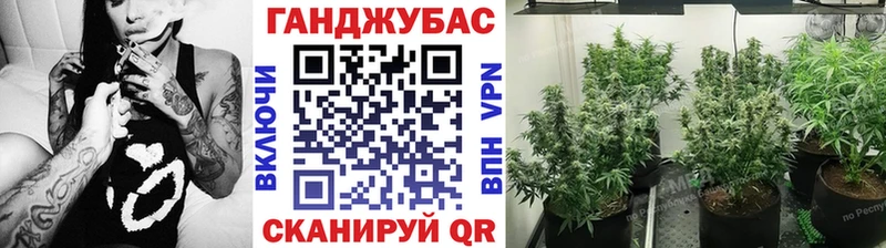 купить   Красково  Шишки марихуана тримм 